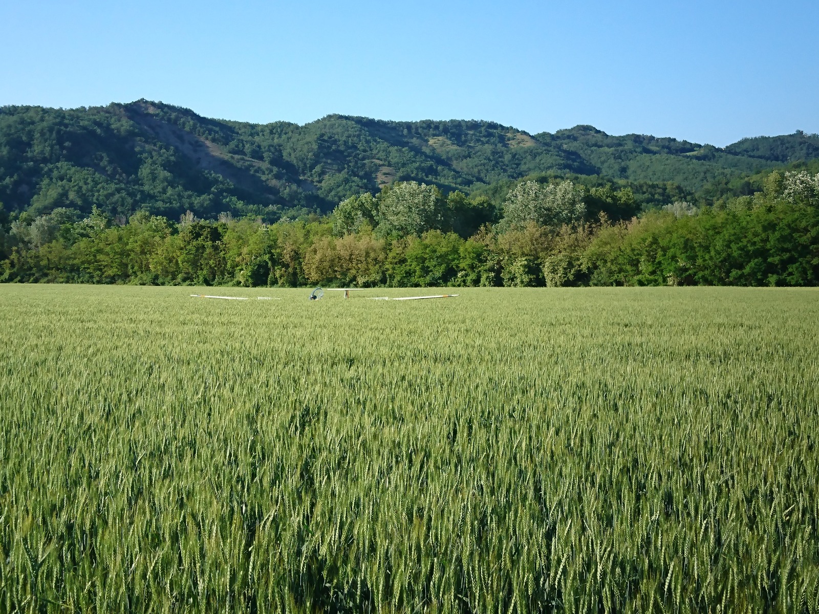 WhatsApp Image 2018 11 17 at 17.53.47